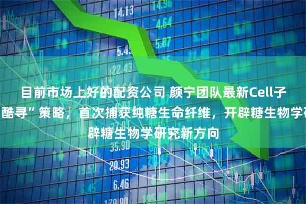 目前市场上好的配资公司 颜宁团队最新Cell子刊：利用“酷寻”策略，首次捕获纯糖生命纤维，开辟糖生物学研究新方向